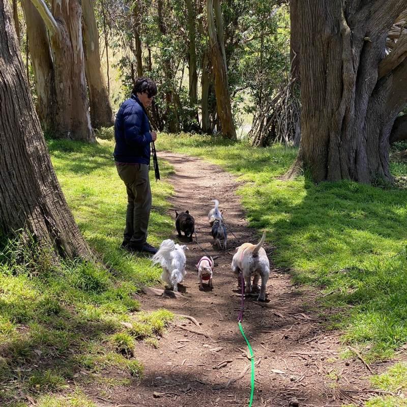 happy mr mangoo with his new pack