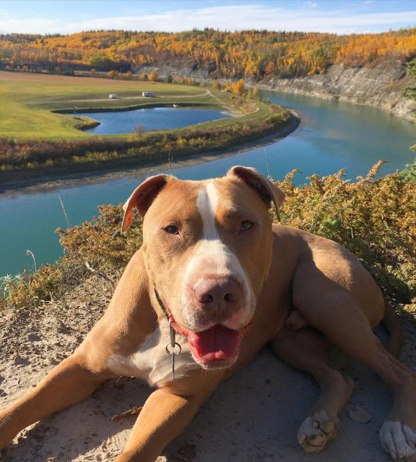 happy ranger on an adventure out