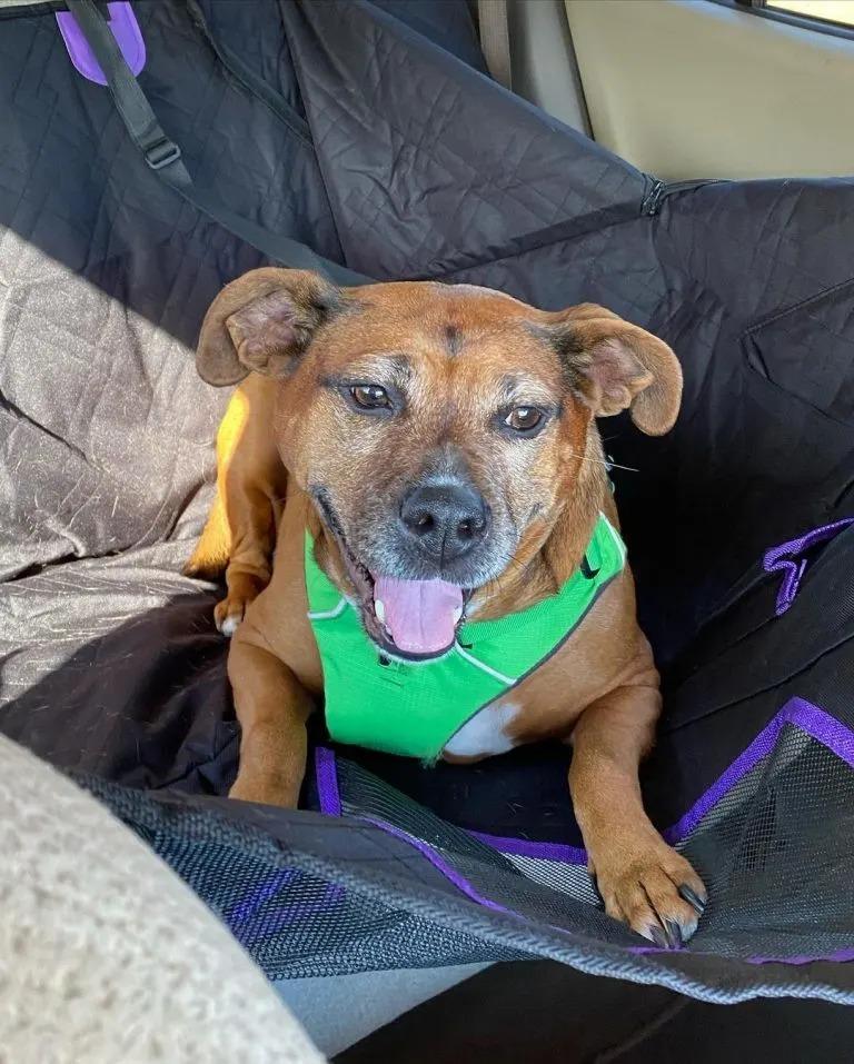 lady happy on a blanket