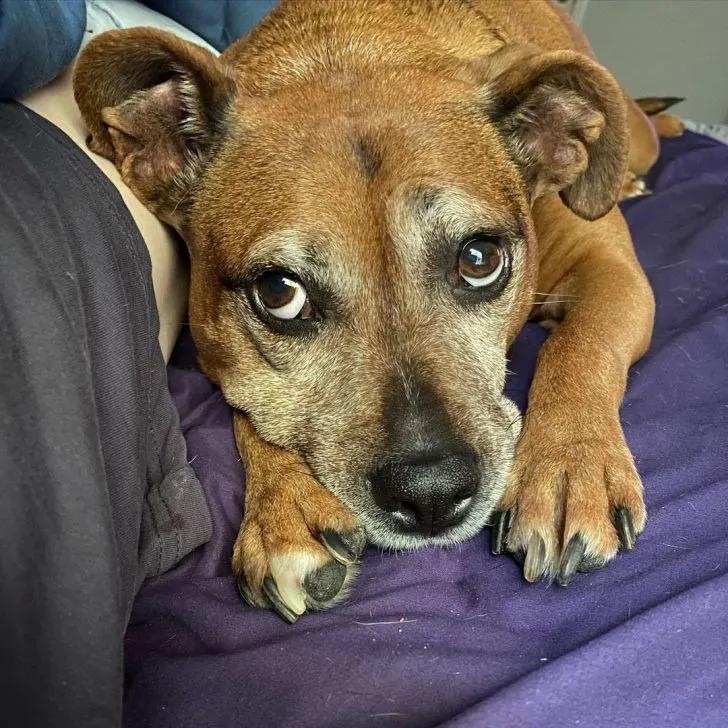 lady sad on a blanket