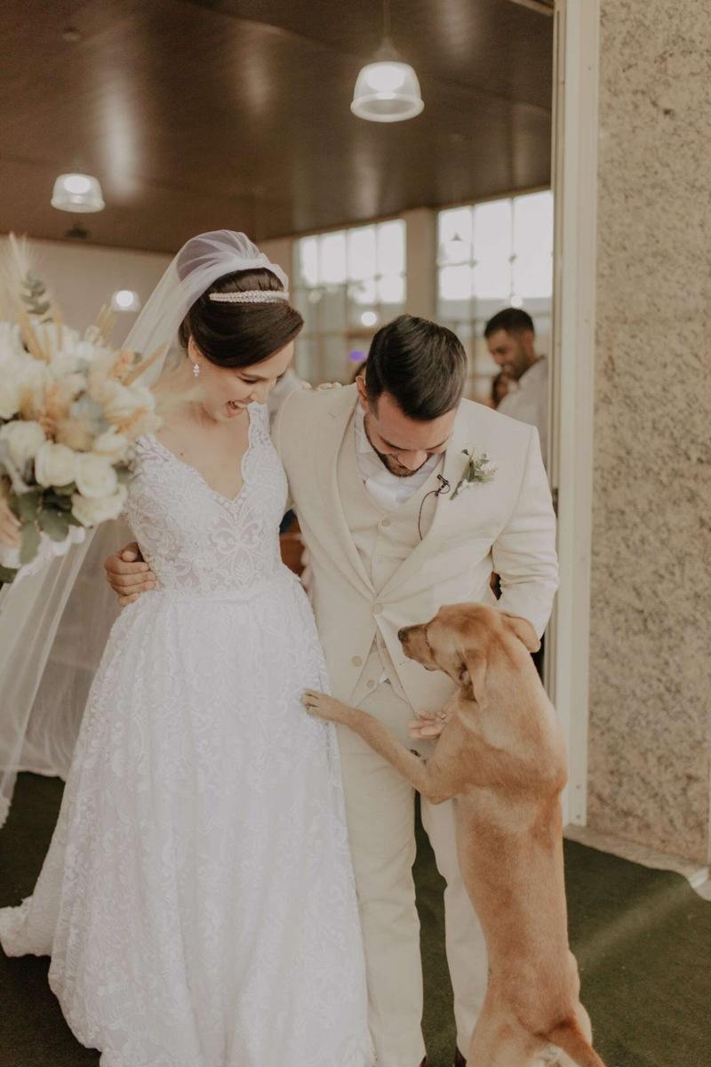 newlyweds greeted by stray dog