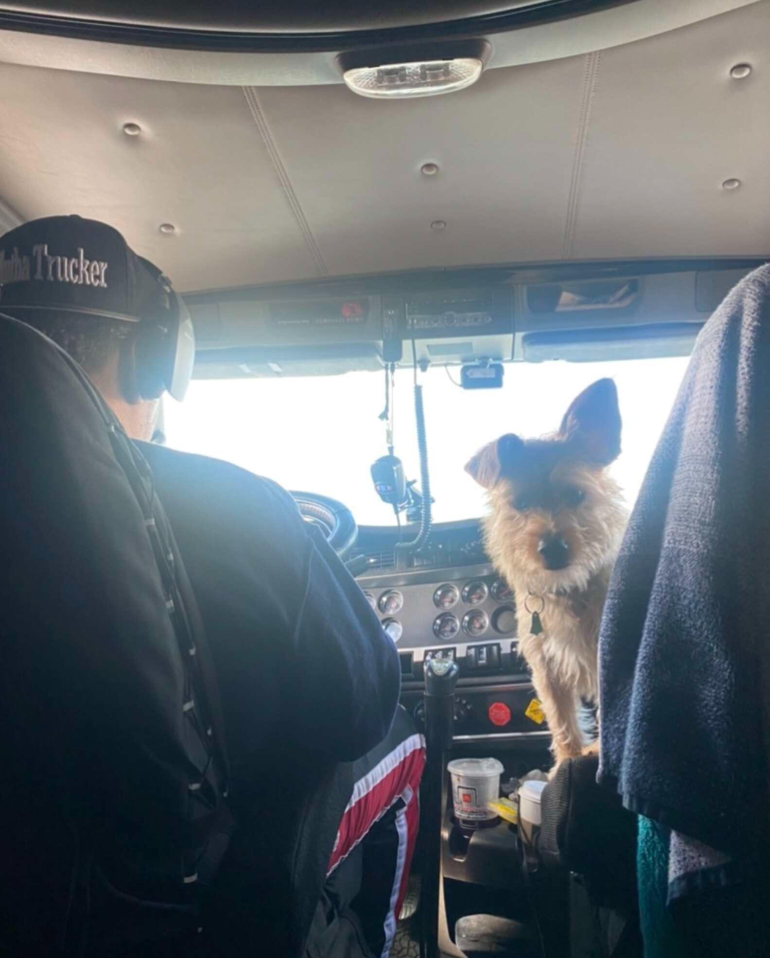 panfilo and sotelo in the truck