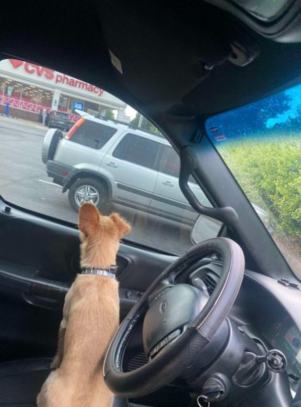 panfilo in the truck