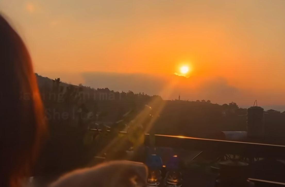 puppy looking at sunset