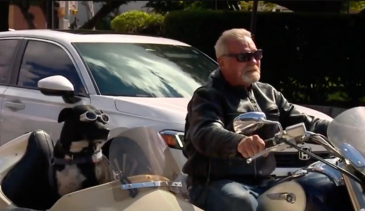 riding the harley together