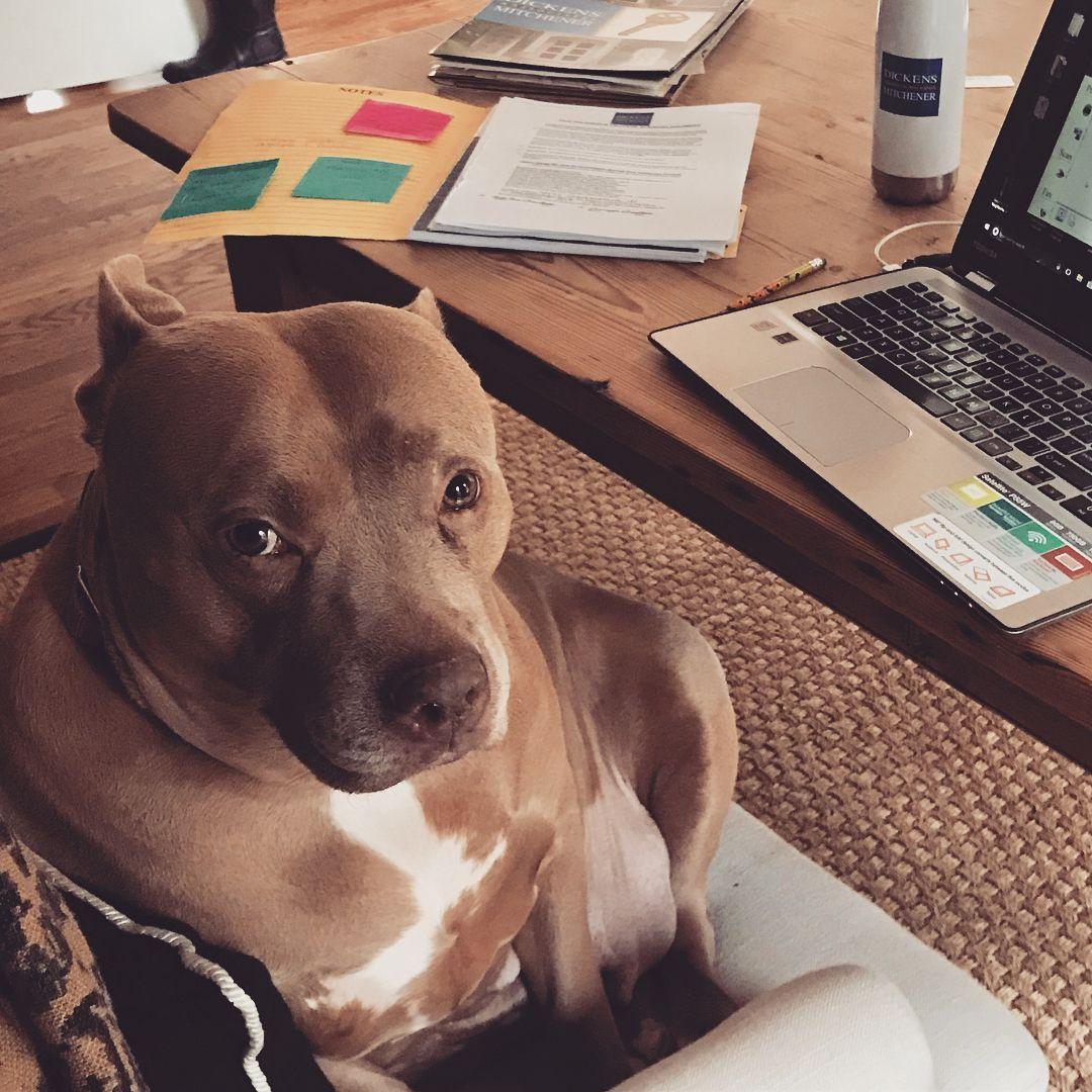 rosie at her desk