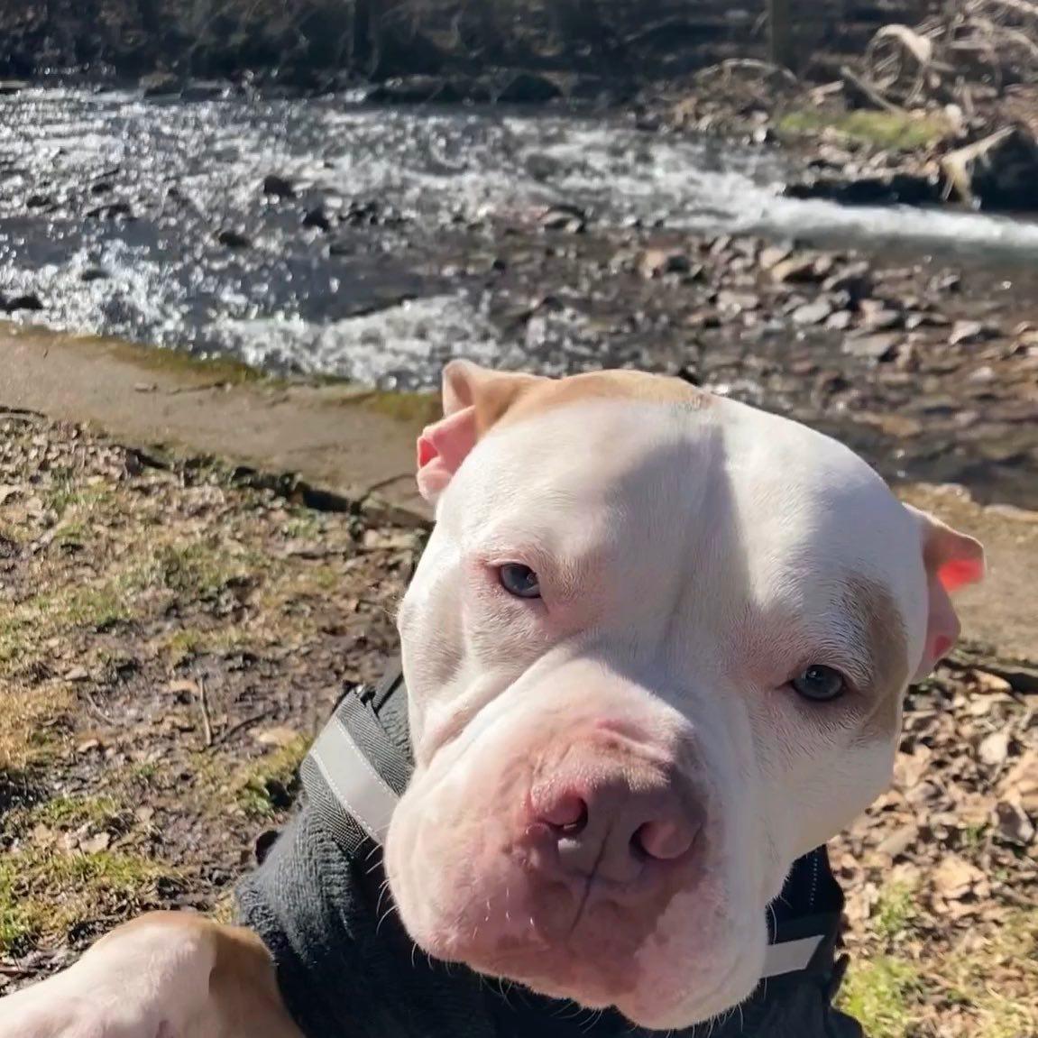 rudy at the beach