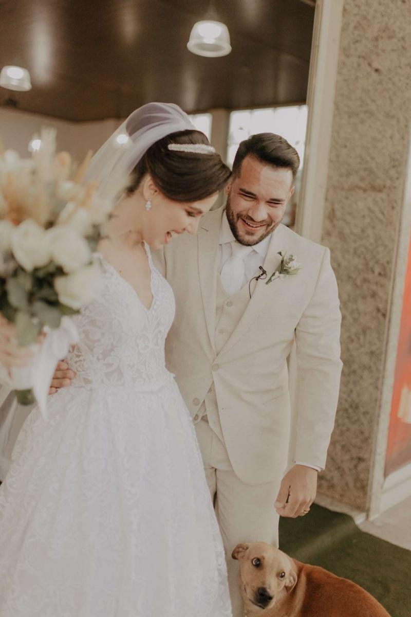 stray greeting the newlyweds