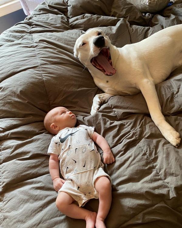 taz playing with baby on the bed