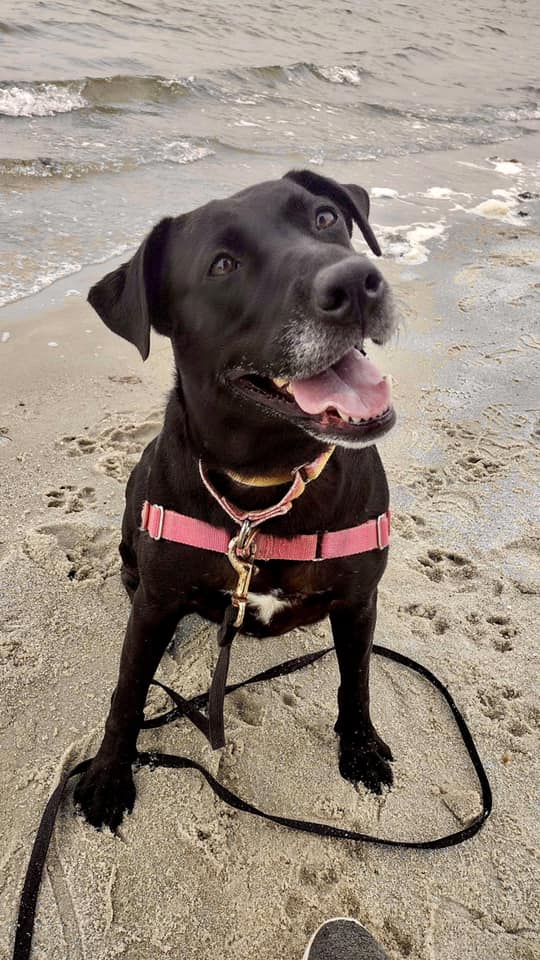 tessy at the beach