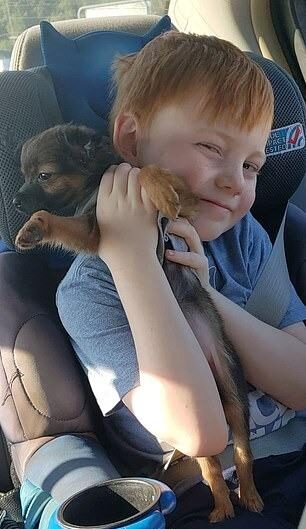 xander and mello in the car