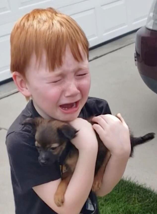 xander cries of joy after getting the dog