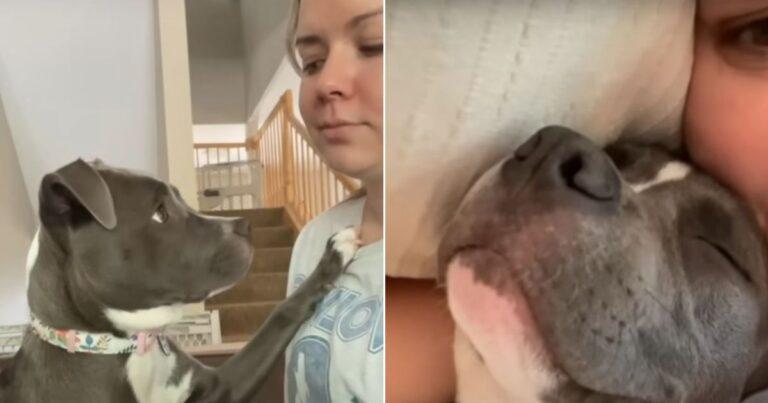 Adorable Rescue Dog Hates Every Moment Spent Away From His New Mom