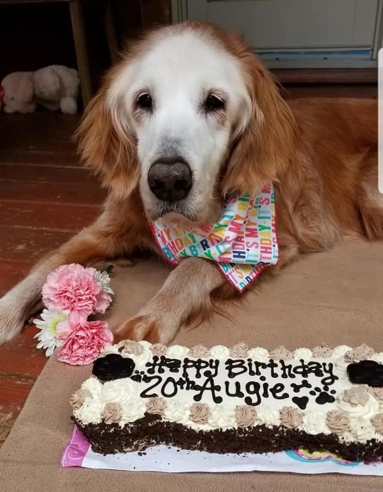 augie celebrates her birthday