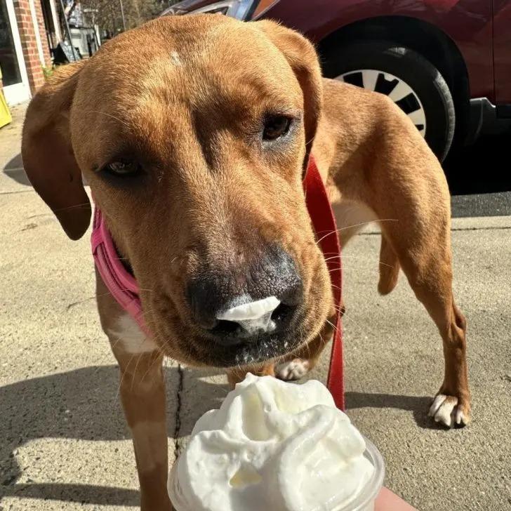 baton eating ice cream