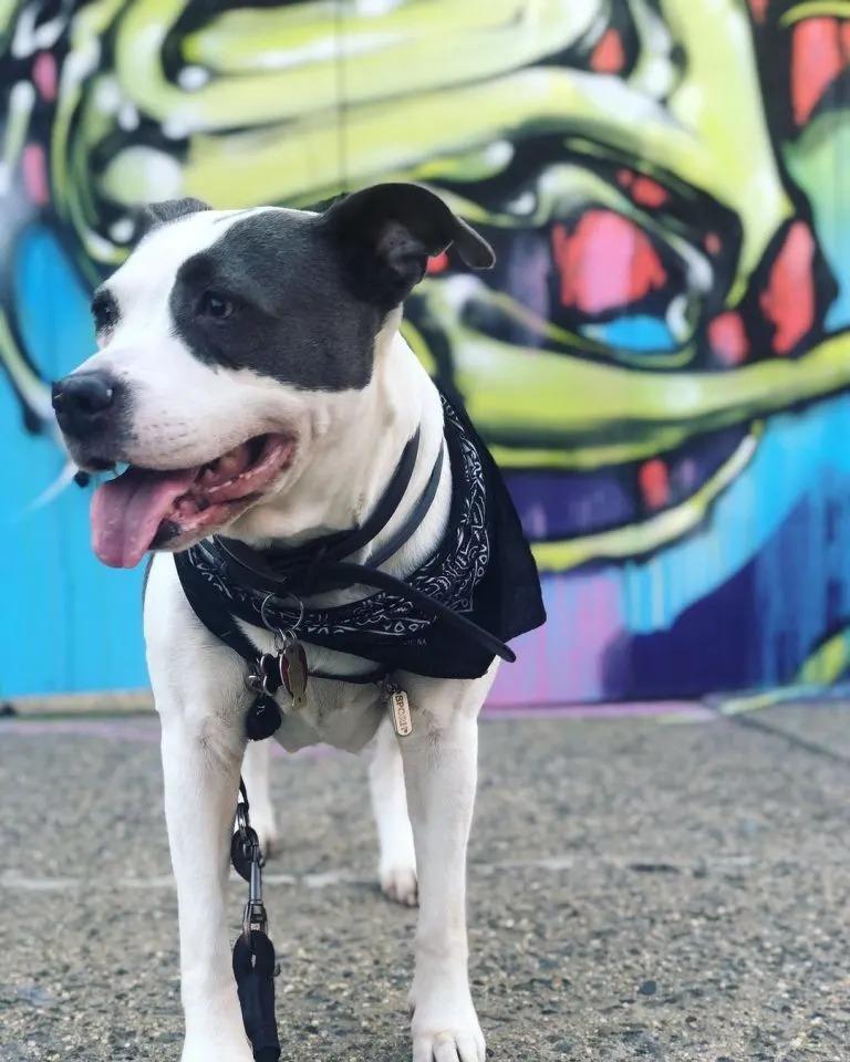 benny in front of a wall