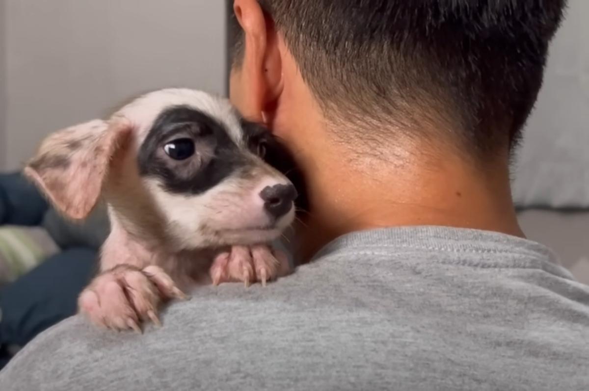 cuddling with new dad