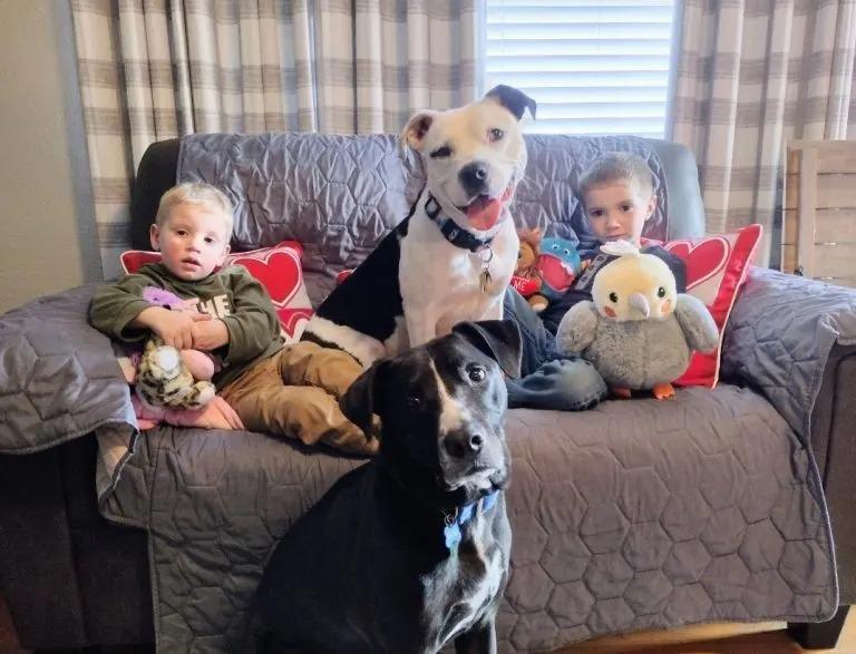 dogs with kids