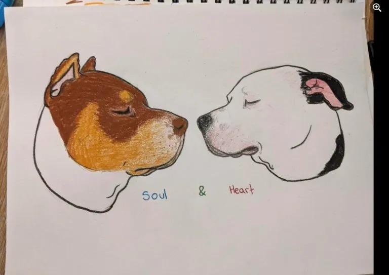 drawing of soul and heart