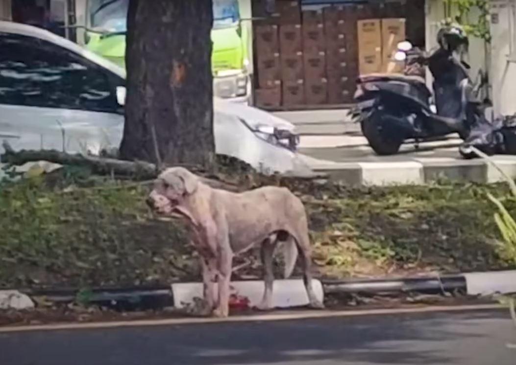 homer abandoned near gas station