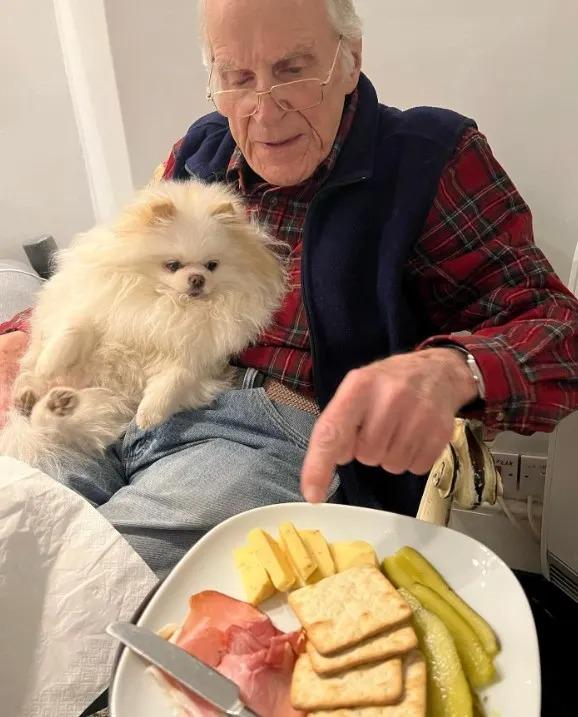 john and diva looking at food