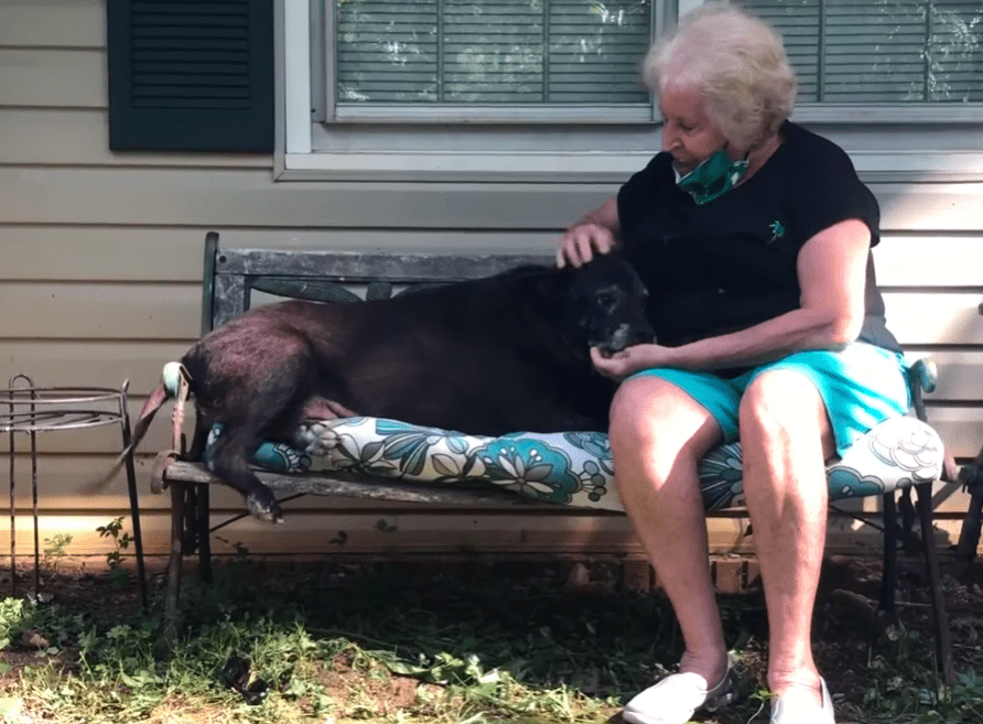 ladybird with her grandma