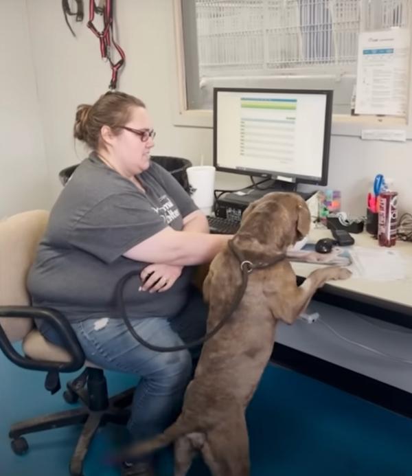 niko working with shelter staff