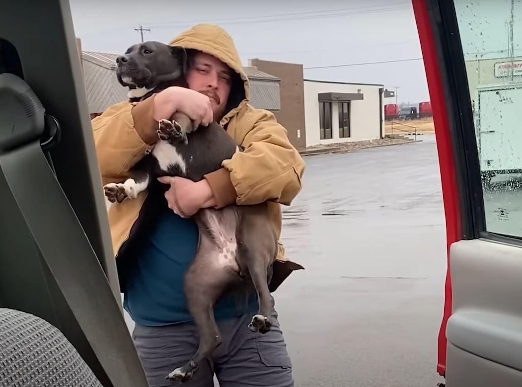 pittie getting rescued in parking lot