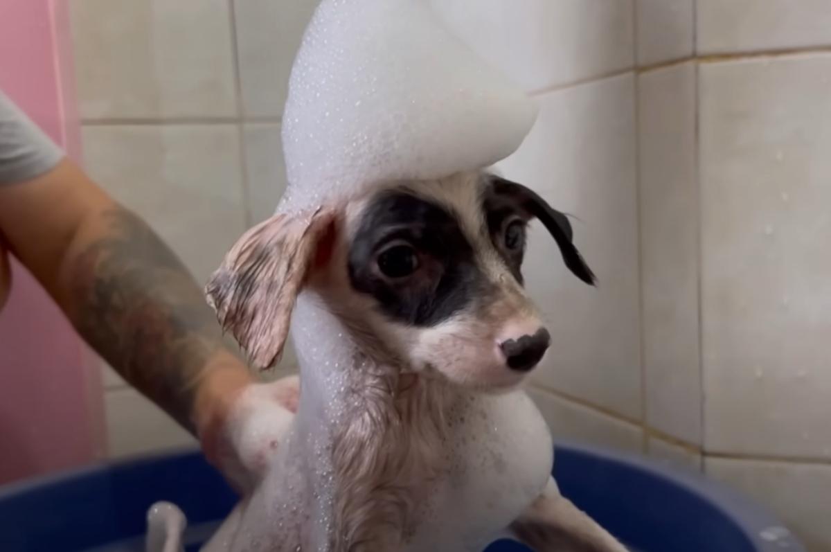 playing in the bath