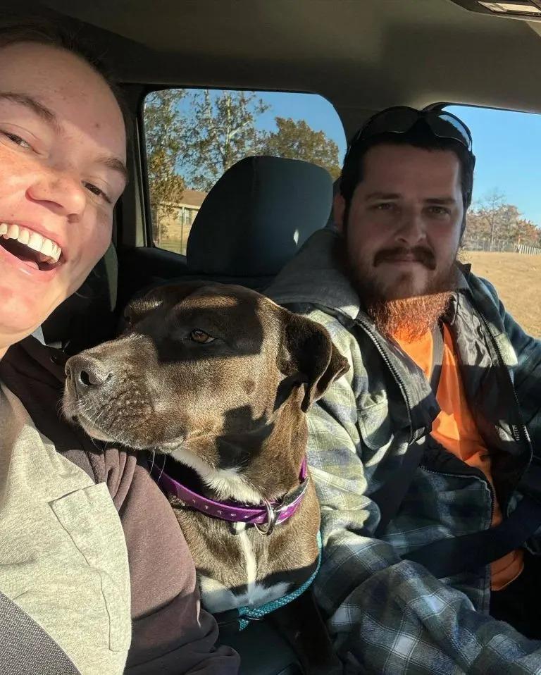 rachel her husband and the pittie