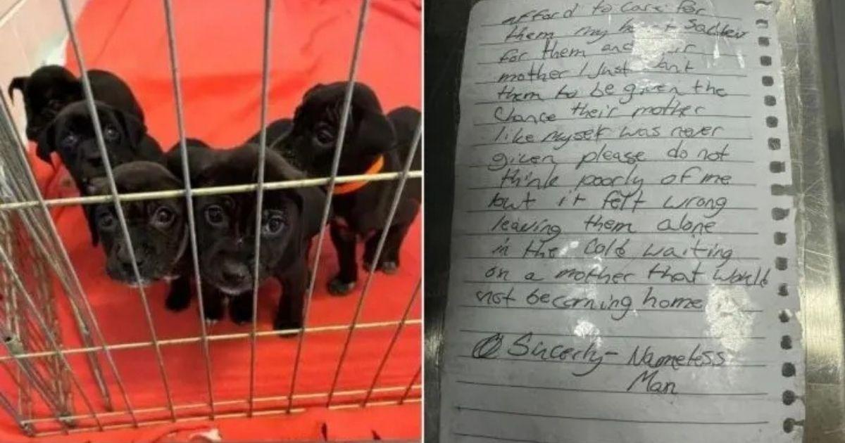 Homeless Man’s Heartbreaking Note Explains Why He Left Puppies At Shelter