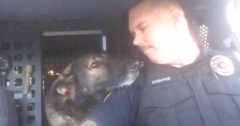 Beloved K-9 Officer Faust Receives Heartfelt Final Radio Call After 8 Years Of Police Service