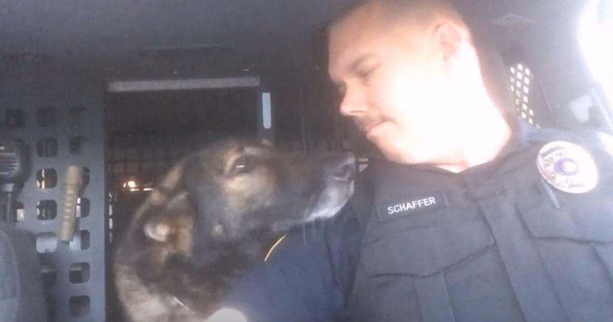 K 9 Officer Faust Receives Heartfelt Goodbye After 8 Years Of Dedicated Service