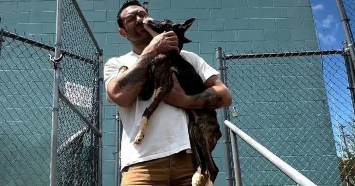 Rescued Dog Finds Love And A Second Chance