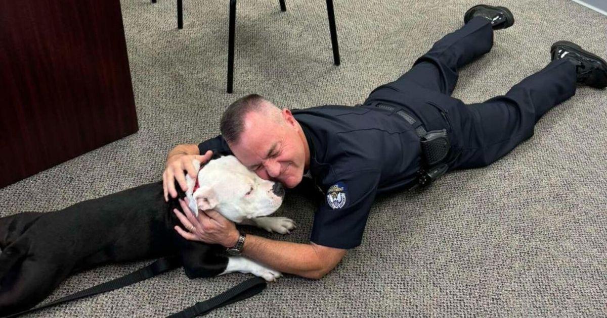 Shelter Dog Makes A Brief Visit Of Police Station And Becomes The Team’s Newest Member