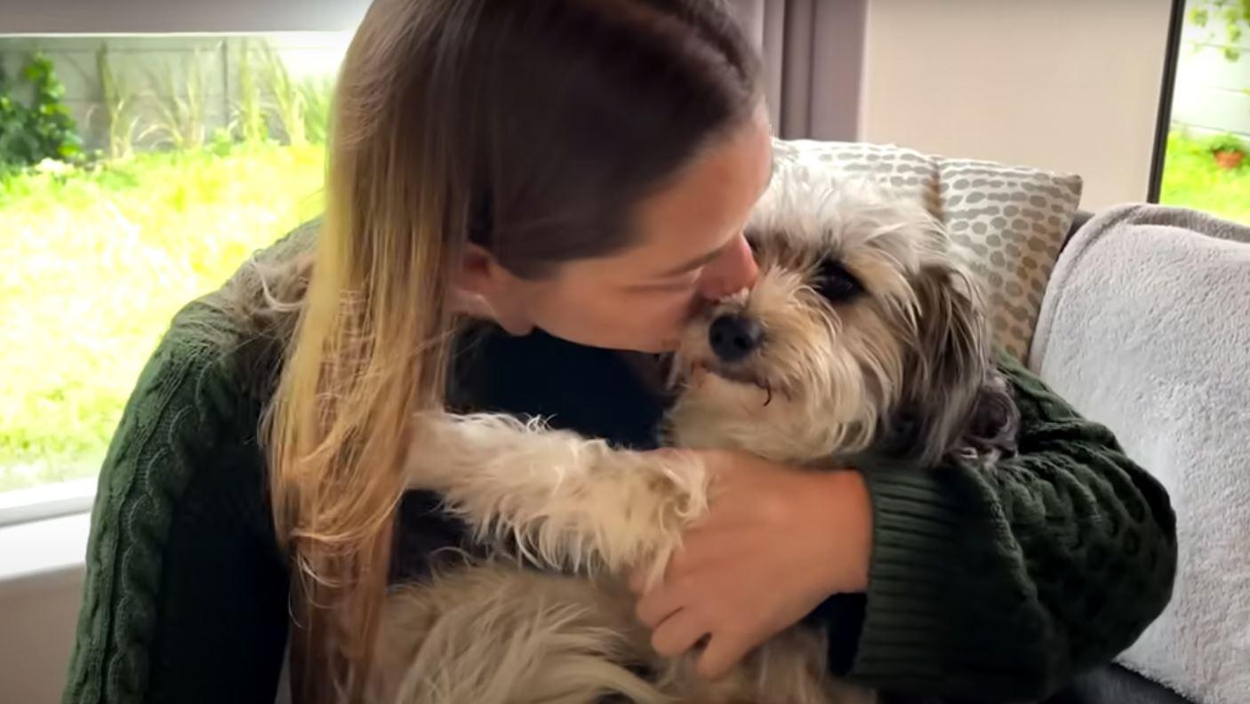 abandoned dog finds love