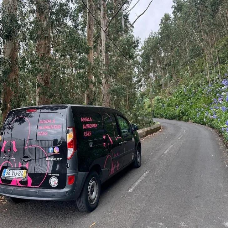 black van on road