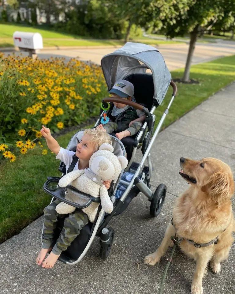 dog with baby