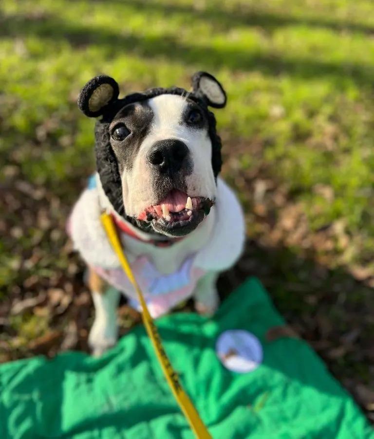 holly with hat