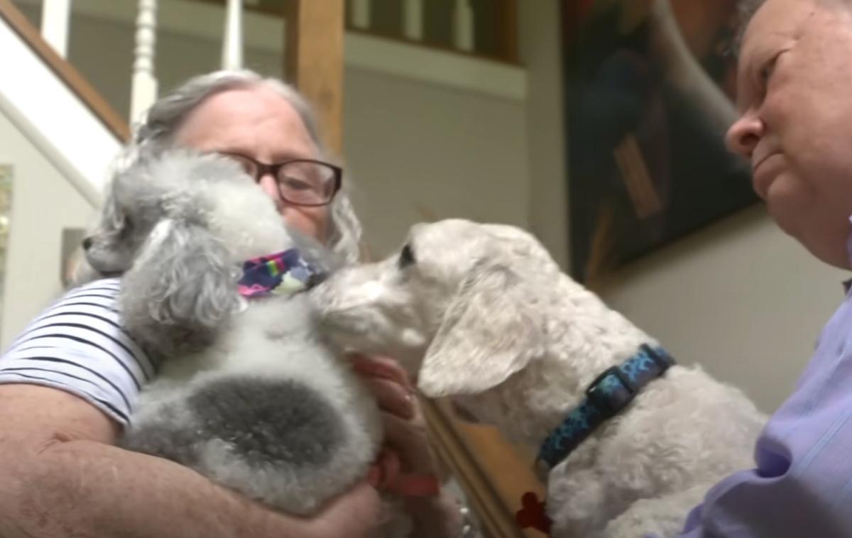 jordan with his parents and new furry friends