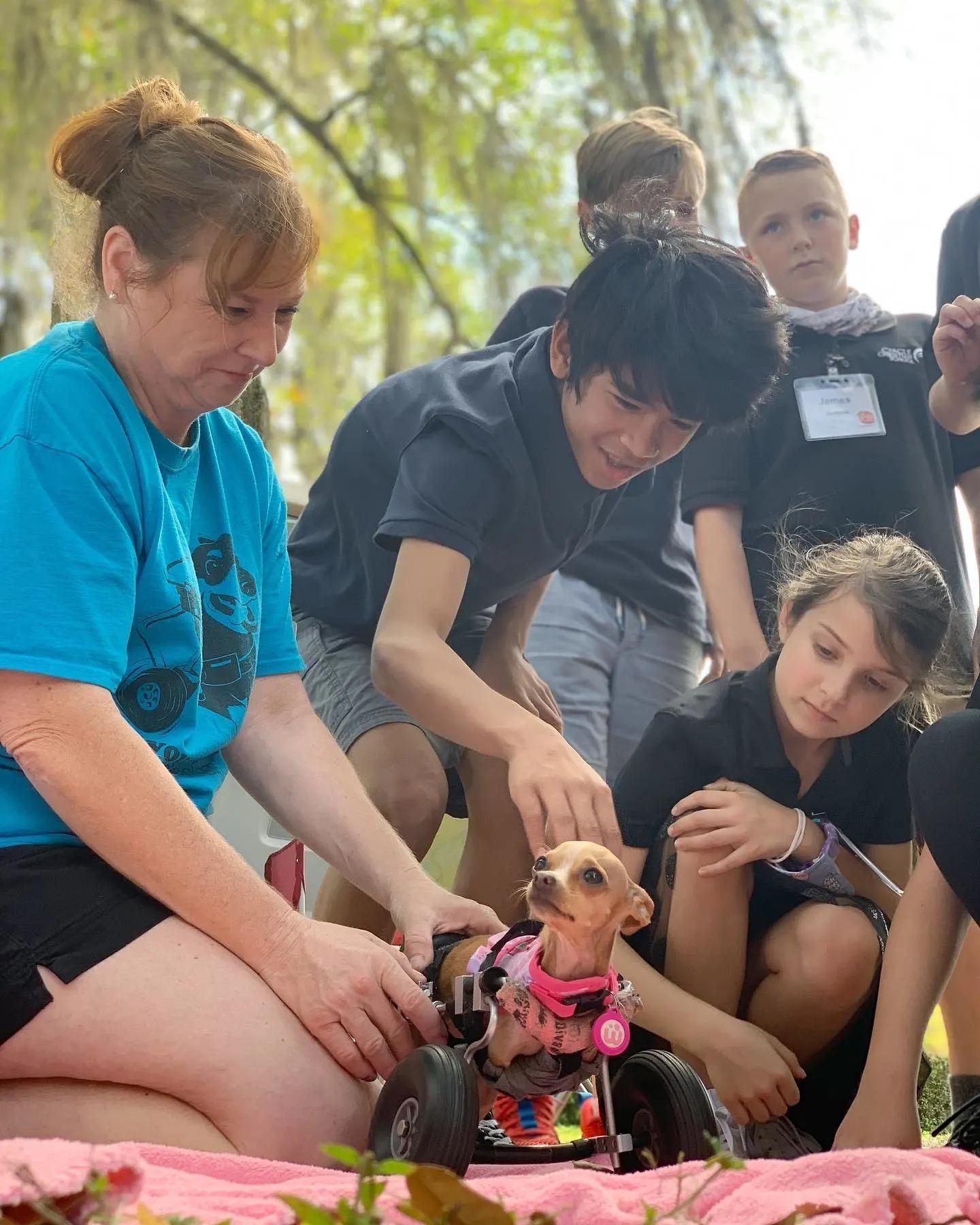 miracle puppy surrounded by people