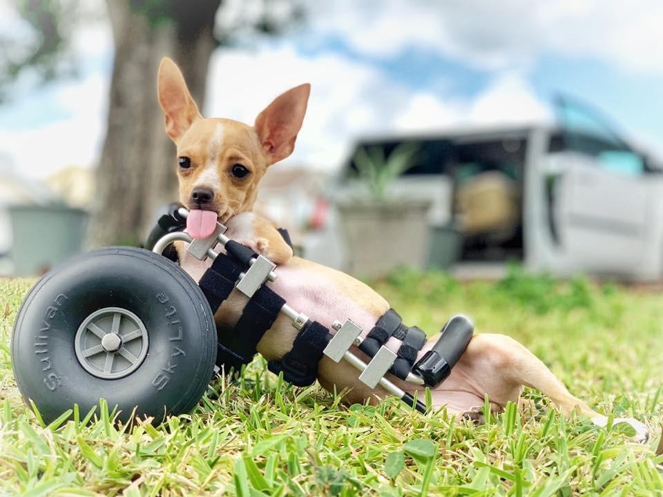 noelle with her engine