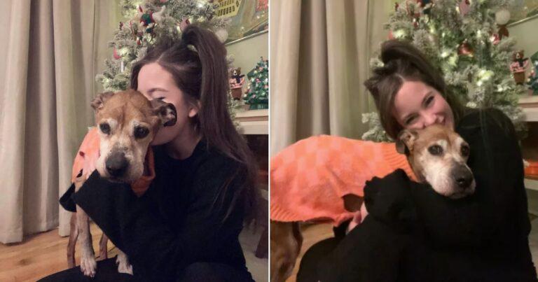 Senior Dog Had Her Christmas Early This Year And The Reason Is Heartbreaking