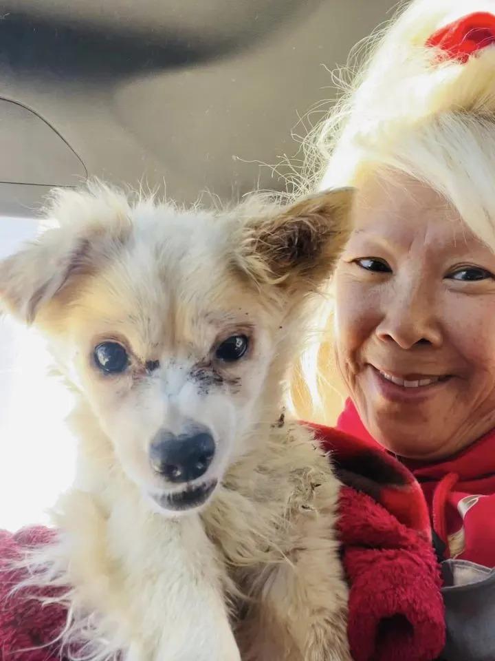 blonde woman and white dog