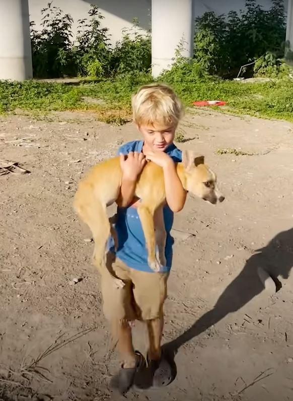 boy carrying pup