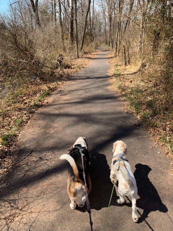 errol and romeo walking together