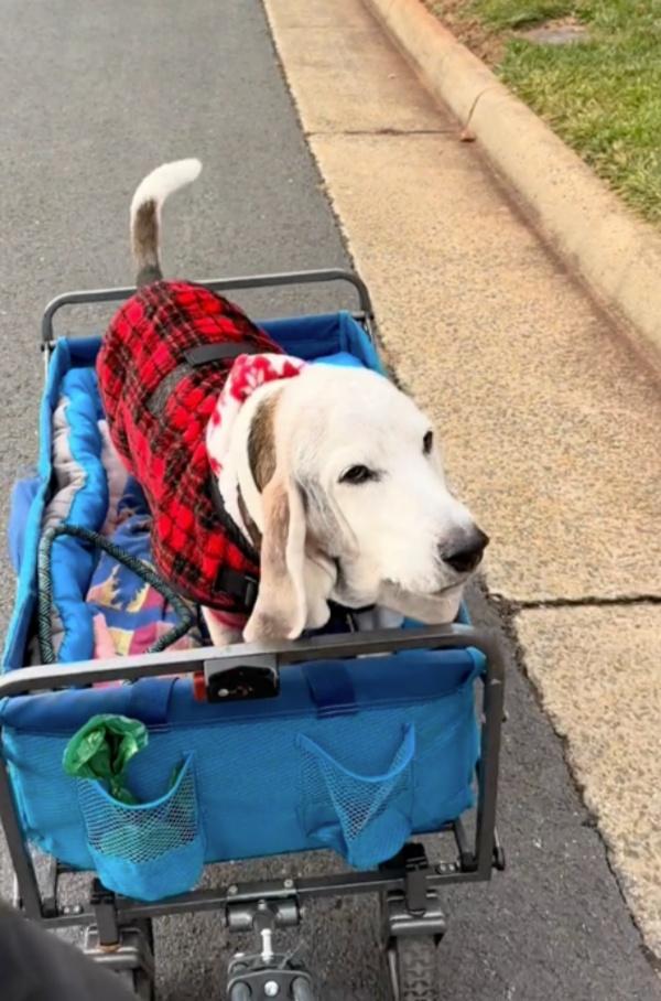 errol in his cart