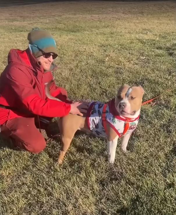 man and dog outside