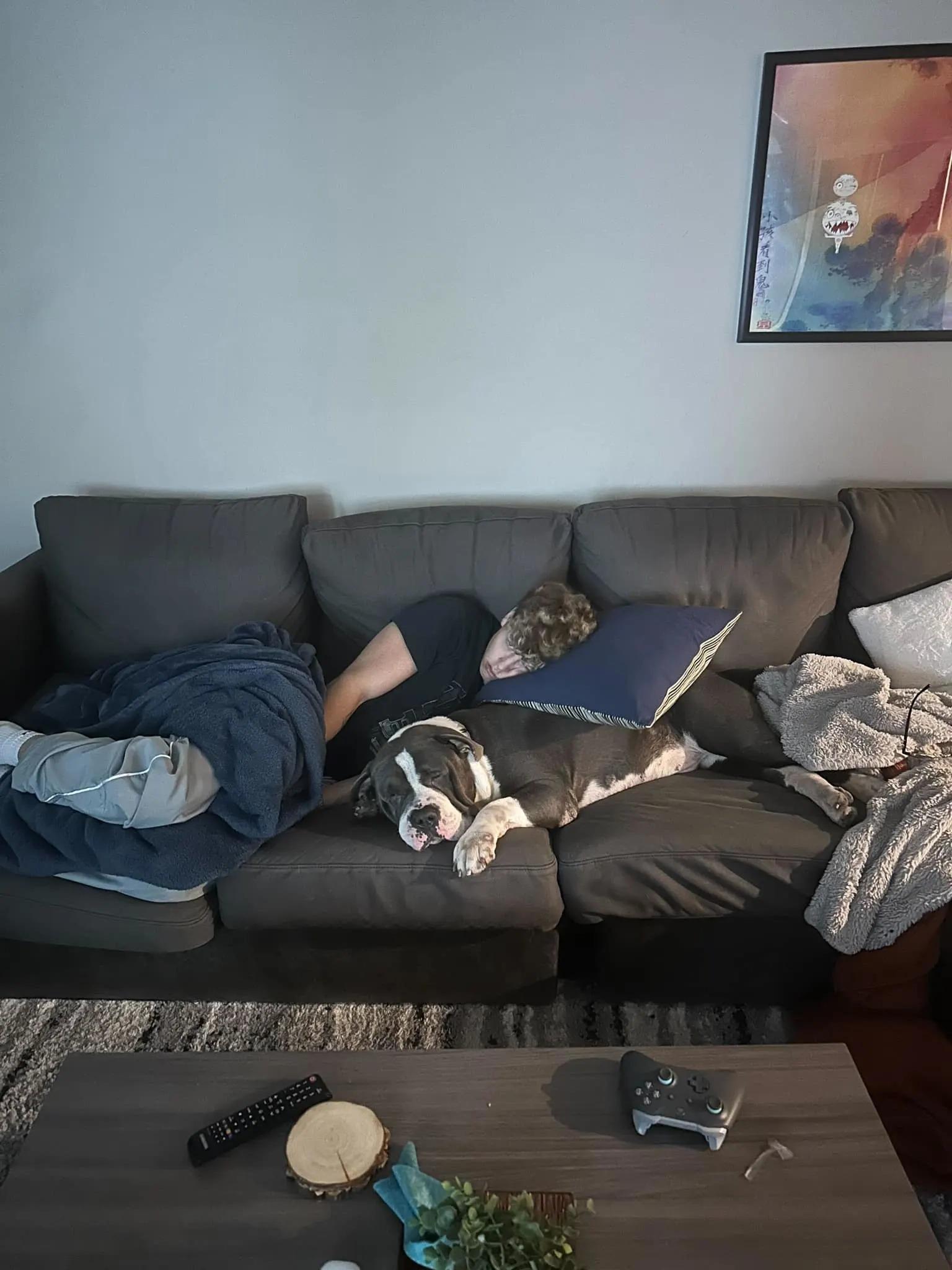 man sleeping with dog