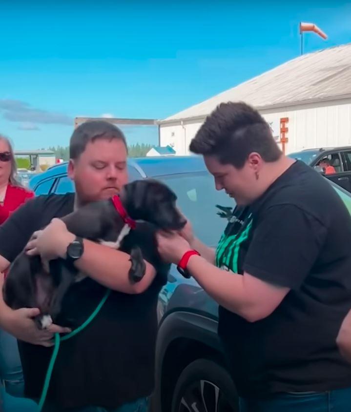 pup getting pet by 2 people